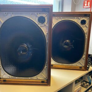 Yamaha NS-250e coppia di diffusori