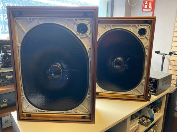 Yamaha NS-250e coppia di diffusori